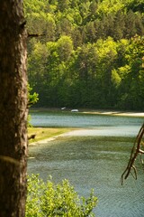 lake in the forest
