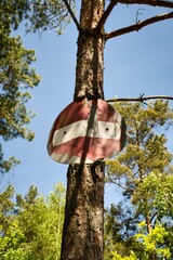 road sign prohibiting driving in forest
