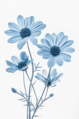 Obraz premium Flowers in vase
