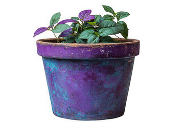 Fototapeta premium Purple biodegradable pot isolated on transparent background, png file, no background png file