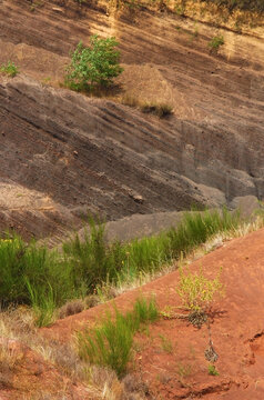 Cava di terra rossa - Valentano VT