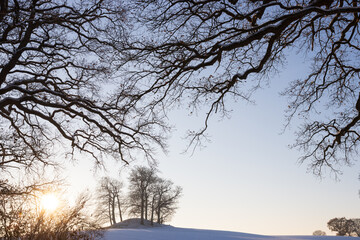 Rural winter landscape with barrow and mystically gnarled oak tree twigs.