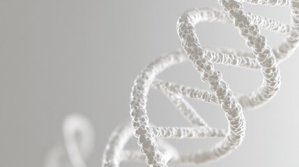 A detailed image of a DNA double helix structure, set against a clean, white background