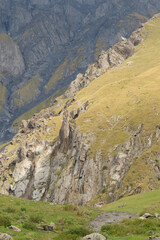 Mountain landscape. summer day in wild mountains with coniferous forest and rocky slopes. Venue: Georgian Kazbegi Mountains. atmosphere of sunlight clouds, wallpapers. Discover the beauty of earth