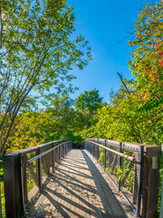 A forest bridge in the Montmorency Falls park, Qguebec City, Quebec, Canada
