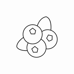 blueberry fruit icon sign vector