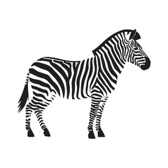Zebra silhouette vector illustration