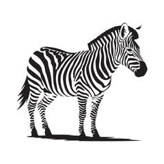 Obraz premium Zebra silhouette vector illustration