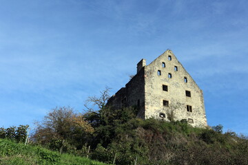 Burgruine in Burkheim am Kaiserstuhl