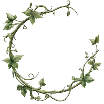 Avatar picture frame made of leaves, flowers and roots isolated on a transparent background, Graphic illustration for design mockup template