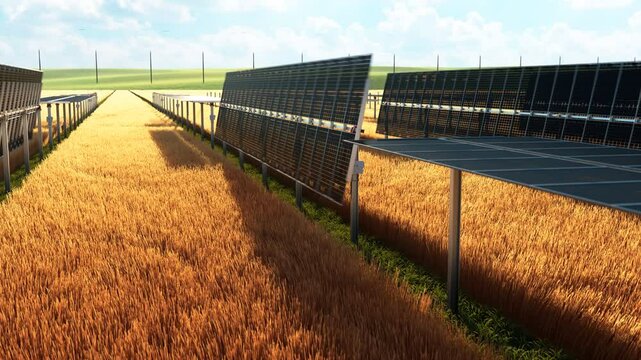 Agriculture and renewable energy: Solar panel installation with tracking system