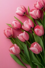 Obraz premium Fresh pink tulips arranged with lush green leaves on a vibrant pink background