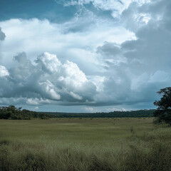 Fototapeta premium Cloudy Expanse Over Wildlife Sanctuaries: A Serene, Majestic Vista of Nature's Untouched Beauty