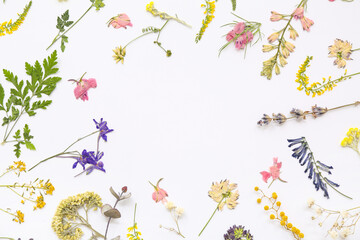 Frame made of dried flowers on light background
