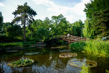 Fototapeta premium Botanic garden, Odra river and urban street of Wrocław city in Poland.