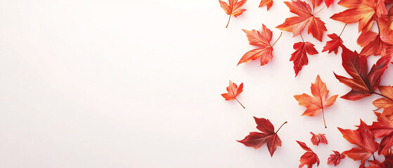 Vibrant Red Autumn Leaves Scattered on White Background