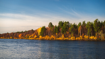 Peaceful and calm autumn day in Finnish Lapland by the flowing river offers breathtaking view to golden colored forest on the shore during beautiful coloured autumn day with blue sky, Ivalo, Finland 