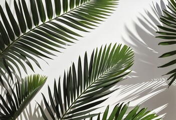 Sunlit Forest: Abstract Botanical Patterns