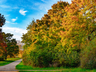 Naklejka premium Einzigartige Herbststimmung in der Natur im Donaupark bei Sonnenschein
