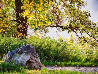 Einzigartige Herbststimmung in der Natur im Donaupark bei Sonnenschein