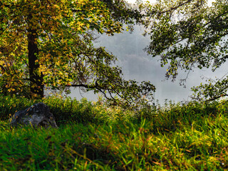 Einzigartige Herbststimmung in der Natur im Donaupark bei Sonnenschein