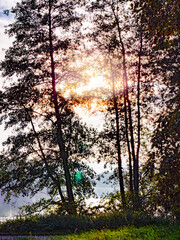 Einzigartige Herbststimmung in der Natur im Donaupark bei Sonnenschein