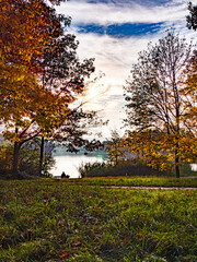 Einzigartige Herbststimmung in der Natur im Donaupark bei Sonnenschein