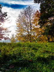 Einzigartige Herbststimmung in der Natur im Donaupark bei Sonnenschein