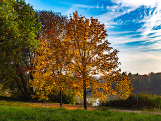 Einzigartige Herbststimmung in der Natur im Donaupark bei Sonnenschein