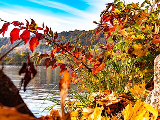 Einzigartige Herbststimmung in der Natur im Donaupark bei Sonnenschein