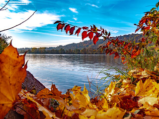 Einzigartige Herbststimmung in der Natur im Donaupark bei Sonnenschein