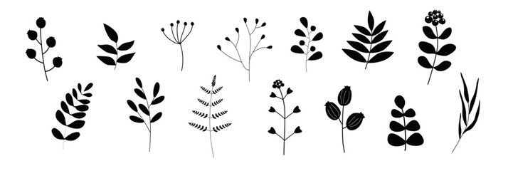 Set of silhouettes of plants, branches, flowers, berries. Abstract natural wild collection. Vector graphics.