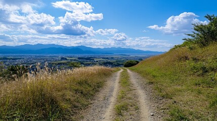 Fototapeta premium Scenic Nature Pathway