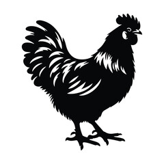 A black color rooster chicken selhoutte vector illustration