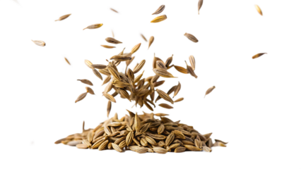 Cumin flying isolated on white background as transparent. PNG