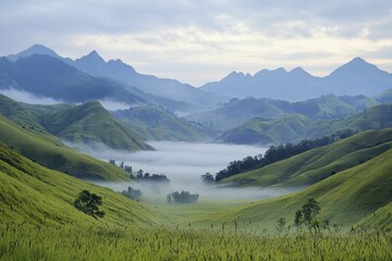 A quiet mist-covered valley surrounded by mountains, evoking a deep sense of compassion and connection to the earth, cool misty lighting, soft rolling hills, atmospheric perspective