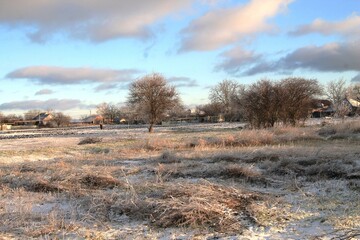 Atmospheric winter landscape with a snow-covered field, trees covered in ice, blue sky