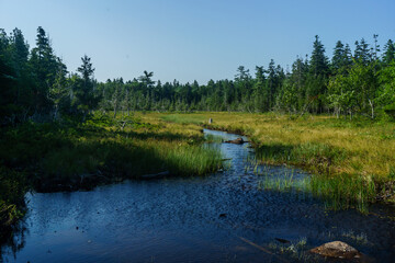 Acadia National Park