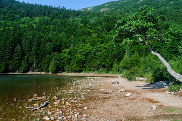 Acadia National Park