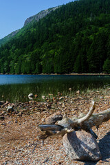 Acadia National Park