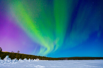 Arctic polar night starry sky background of aurora borealis and Northern Lights in forest