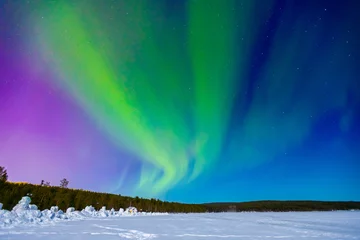 Arctic polar night starry sky background of aurora borealis and Northern Lights in forest