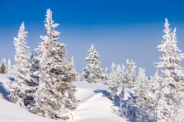 Sheregesh Kemerovo region ski resort in winter, landscape on mountain aerial top view