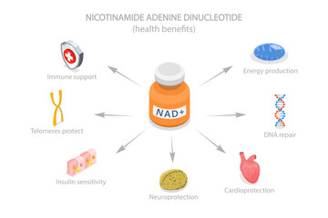 3D Isometric Flat  Illustration of Health Benefits Of NAD plus, Anti-Aging Therapy