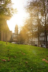 Sunlit cityscape in Lisbon, Portugal with green grass, autumn leaves, and a historic tower in the background