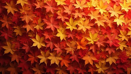 Fototapeta premium Vibrant autumn maple leaves in red orange and yellow hues creating a textured seasonal backdrop