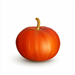Ripe red pumpkin isolated on white. Vector illustration.