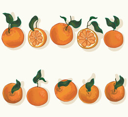 Set of oranges  citrus fruit in different cuts slice different shapes of oranges fruit  illustration isolated on white background