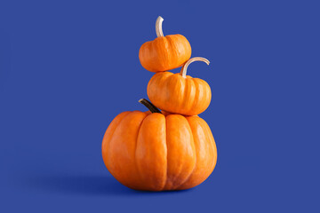 Fresh pumpkins on blue background