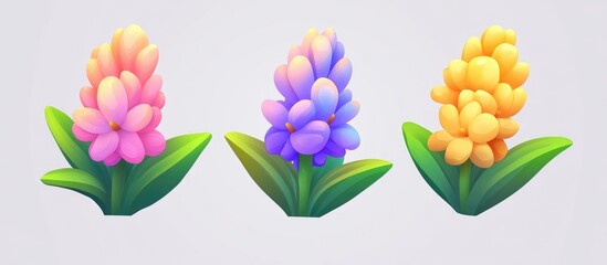 Naklejka premium Hyacinth Isolated On White Background Growing Hyacinth Flower Buds Spring Flower